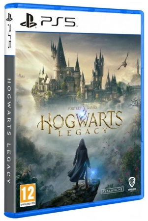 Диск для PS5 Hogwarts Legacy фото в интернет-магазине gdrone.ru
