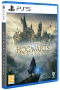 Диск для PS5 Hogwarts Legacy фото в интернет-магазине gdrone.ru